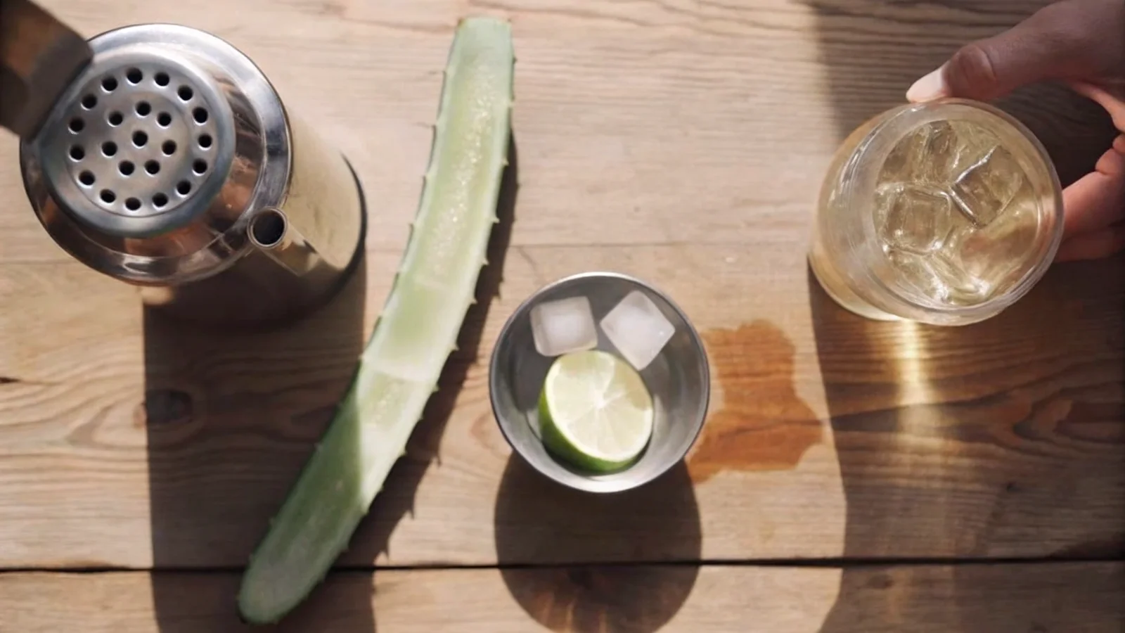 Aloe vera en cuisine : recettes, apéro & conseils